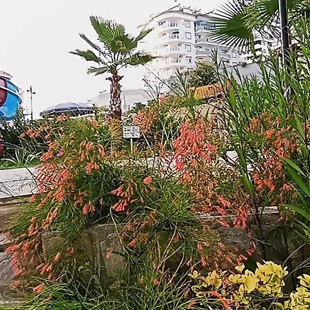 Arcadia Homes Avsallar