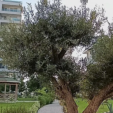 Arcadia Homes Avsallar Apartmán